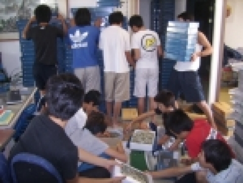 바자회 멸치를 포장하는 청소년