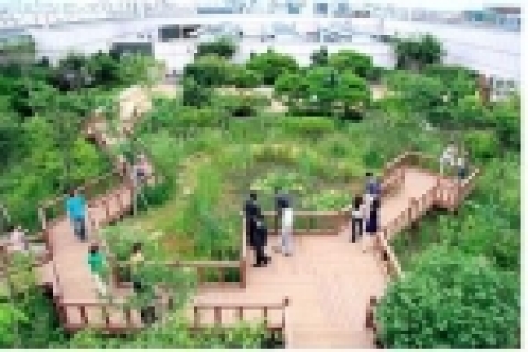 일산 롯데백화점 옥상정원 전경