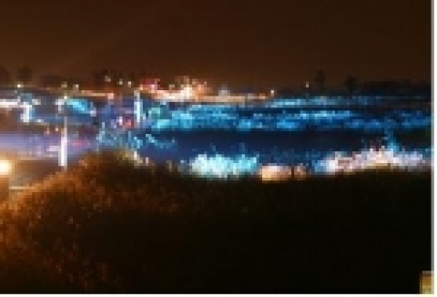 억새밭 오색조명