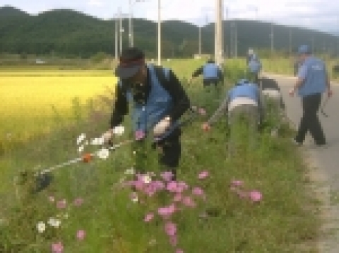 냉연부 꽃길 잡초제거 