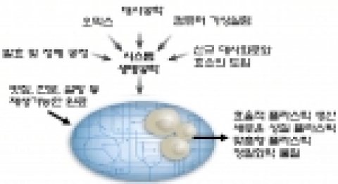 Nature Biotechnology 2006년 10월호 이상엽 교수 논문에 삽입된 overview 그림의 재구성