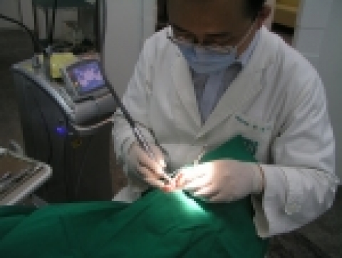 라성호 원장 시술 장면