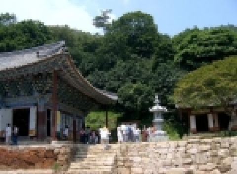 백련사 대웅전 북쪽으로 발달된 동백림 모습