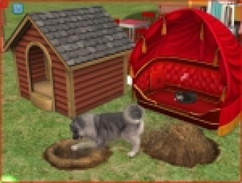 심즈2 Pets 스크린샷