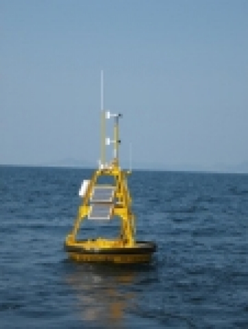 올해 교체한 거문도 부이