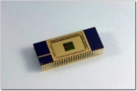 50nm DRAM Chip