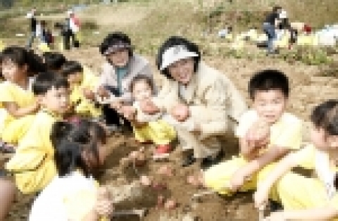 현대학원(이사장: 정몽준)이 운영하는 어린이 자연학습원이 19일(목) 정정길 울산대학교 총장, 이수동 울산과학대 학장, 울산지역 74개 초등학교 어머니회장, 정몽준 국회의원 부인 김영명 여사 등이 참석한 가운데 &#039; 2006 어린이 자연학습원 고구마 수확제&#039;를 가졌다. 사진은 이날 고구마 수확에 나선 현대서부유치원생들과 김영명 여사가 함께 고구마를 캐는 모습.