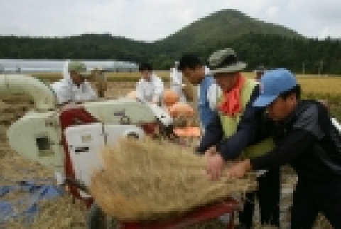 포항제철소 전기제어설비부 STS제강전기정비과 직원들이 경주시 현곡면 나원리에서 어르신들만 남아 일손이 부족한 농가의 탈곡작업을 돕고 있다. 