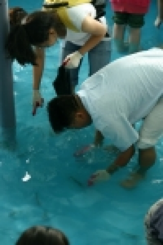 여행포탈 웹투어(www.webtour.com 1588-8526)은 '국민축제'로 자리잡은 남당항 ‘대하잡기’체험과 함께 천북항 석화구이체험을 즐기는 3가지 즐거움