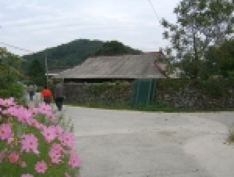 부여 반교마을 돌담길