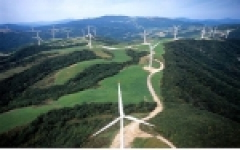  강원(대관령) 풍력발전단지 