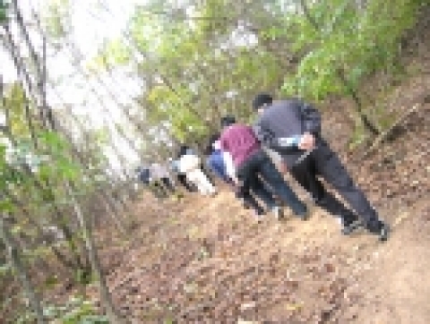 21일 아침 오솔길을 따라 맹물명상과 함께 걷기명상을 하고 있는 참가자들.