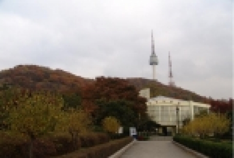 금번 철거되는 남산식물원 1호관 전경