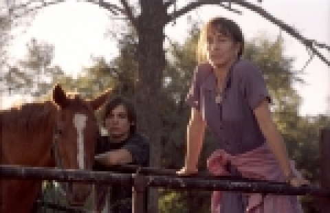 영화 <트랜스아메리카> 