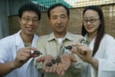 서울대공원은 천연기념물남생이 대량 인공증식에 성공했다