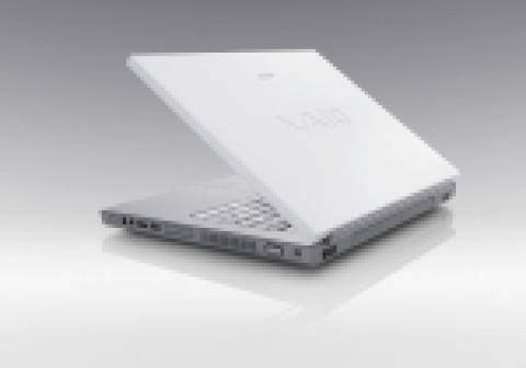 바이오 N 시리즈, VGN-N17L