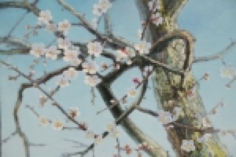 강정희 “매화,그향기는”