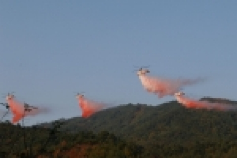 산림청은 점차 대형화되고 있는 산불에 대비하여 범정부적 체계적 대응 및 산불현장통합지휘체계의 구축 등을 위해 민·관·군 1,500여명이 참여하는 대대적인 산불진화 합동실제훈련을 강