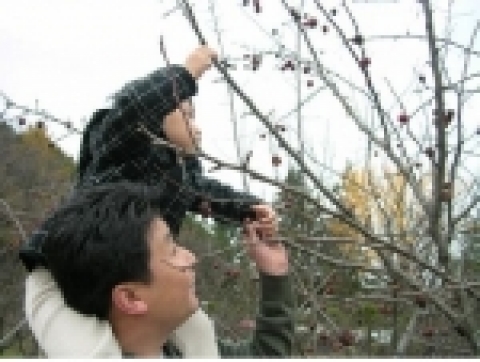 11월11일 오전 10시부터 사능수목학습원(경기도 남양주 사능리)에서 흙피리와 함께하는 산수유열매따기 행사를 개최한다.