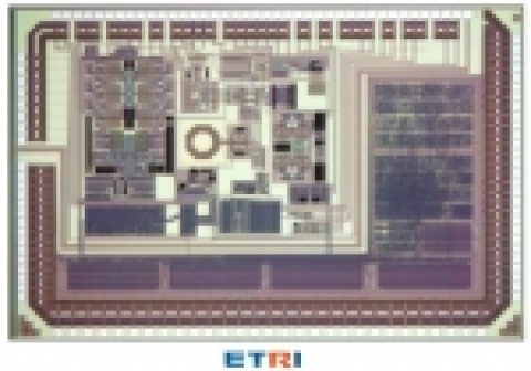 ETRI가 개발에 성공한 지그비 칩들의 모습(실리콘 사이즈), 실제 크기는 패키징전에 약 2.9mm X 3.5mm정도수준이다.