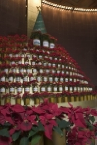 그랜드 인터컨티넨탈 호텔은 12월 1일부터 28일까지 호텔 로비 입구에 270여 개의 포인세티아 화분을 전시하는  '희망의 크리스마스 트리' 자선 행사를 실시한다