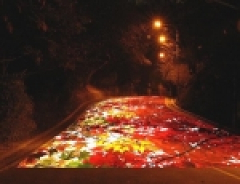 빛의 이미지 樂