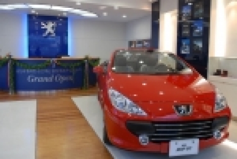 푸조 도곡 전시장 사진