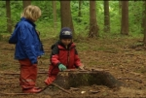 특별다큐<대안(代案), 독일을 가다>