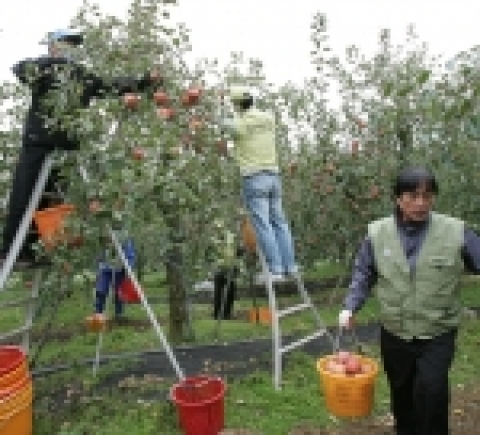 포스코 포항제철소, 11월 나눔의 토요일 행사 가져