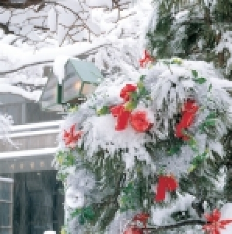 밀레니엄 서울힐튼 겨울 패키지