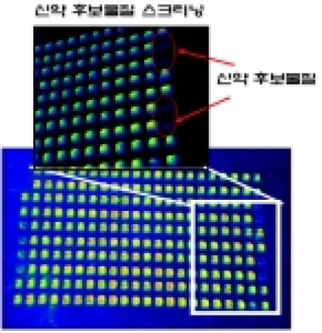 비표지 단백질칩을 이용한 신약후보물질 초고속 스크리닝