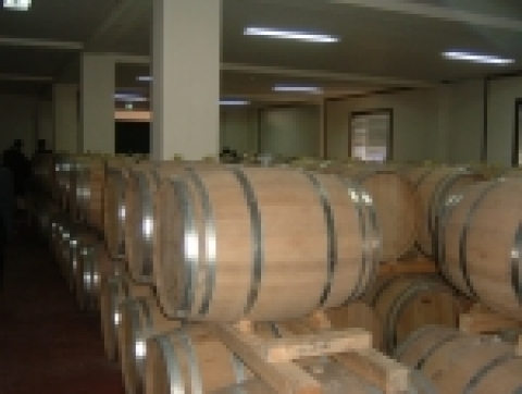 한국철도공사(사장 이철)는 이달 30일 국산 와인 ‘샤또마니(Chateau Mani)’를 생산하는 와인코리아(주)와 업무협약을 맺고 이날부터 이색 테마열차 와인트레인(Wine-tr