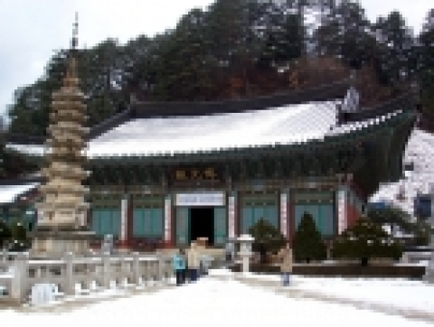 한국관광공사(사장 김종민)는 체험가족여행단 12월 행사에 참가할 가족을 모집한다. 