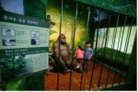 체험코너에서 동물우리에 갇힌 동물이 되어 보는 어린이들