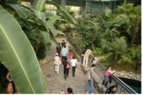 과거 삭막하기만 하던 동물원은 지난달 남산식물원의 식물들을 옮겨 오면서 한겨울에도 따뜻한 밀림 속 동물원으로 바꾸어 놓았다