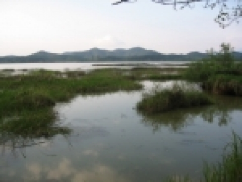 2008년 람사총회 개최지인 우포늪
