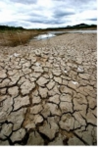 대상, “갈증” 백기열씨 작품