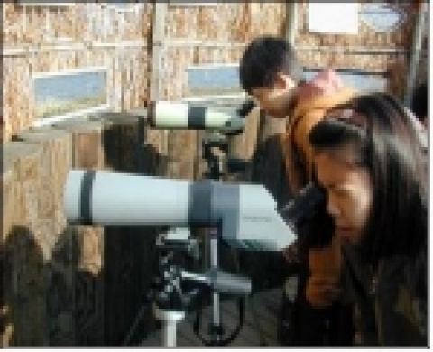 반갑다. 철새야! (강서습지생태공원)