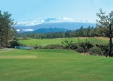 오라칸트리클럽