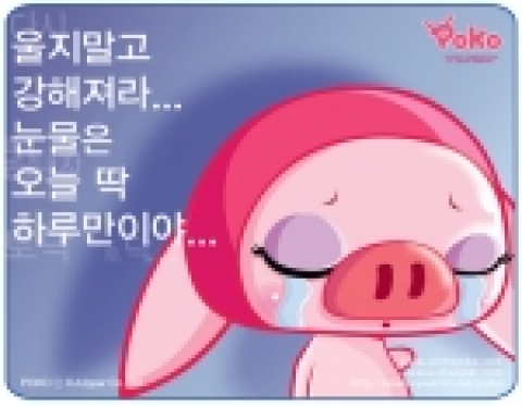 캐릭터가수 포코 이미지