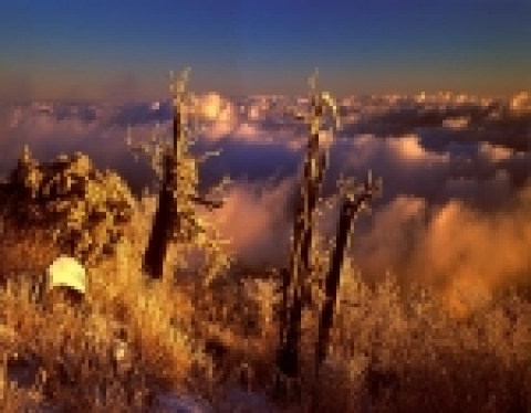 제8회 전북관광전국사진공모전 금상수상작『덕유산의 아침』