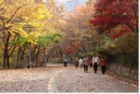 단풍이 절정인 북측순환로(11월)