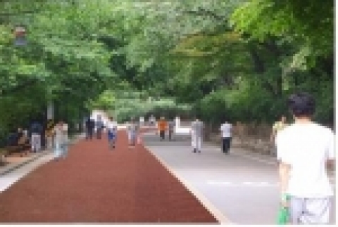 아스팔트 조성후 예시도