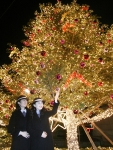 현대중공업 정문과 한마음회관에 설치된 대형 트리. 정문 앞에서 트리를 감사하는 현대중공업 여사원들과 한마음회관을 찾은 지역주민들.