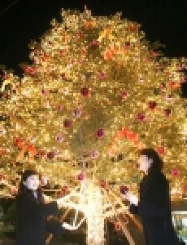 현대중공업 정문과 한마음회관에 설치된 대형 트리. 정문 앞에서 트리를 감사하는 현대중공업 여사원들과 한마음회관을 찾은 지역주민들.