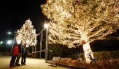 현대중공업 정문과 한마음회관에 설치된 대형 트리. 정문 앞에서 트리를 감사하는 현대중공업 여사원들과 한마음회관을 찾은 지역주민들.