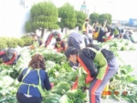 김장배추를 다듬는데 여념이 없는 직원들과 봉사원들의 모습