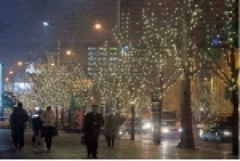 가로수 경관조명