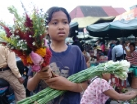 아리랑TV <a 플러스> 특집 방송