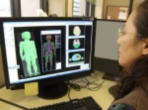 ETRI 전자파환경연구팀 이애경 박사가 MRI 로 분석한 어린이 전신 단층모델을 컴퓨터를 통해 분석하고 있다.